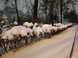 20260109171722.webp