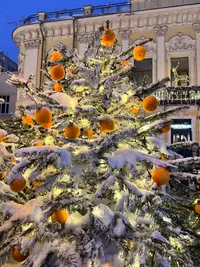 IMG_4086.webp