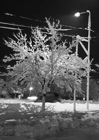 20260110-16.webp