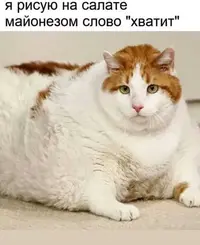 kfdfkg7j_lg.webp