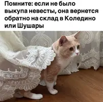 6fkvkcwf_lg.webp