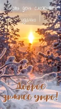 201_224550_276.webp