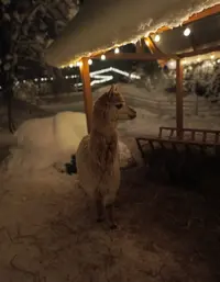 20260115-2158.webp