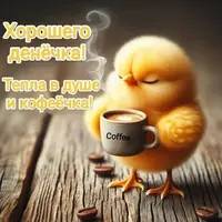 a8b389f714e1c405183a4c0feb310817.webp