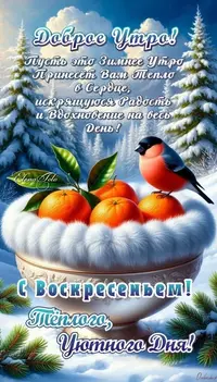 11_085904_990.webp