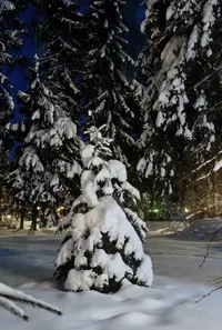 1768762937603.webp