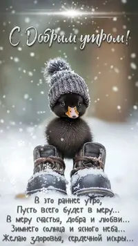 a4b2bce30c7df02447063f6c38375172.webp