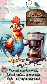 fd082f1f6656bac076b32886c11d3cae.webp