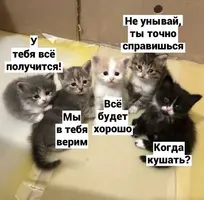 23_140152_414.webp