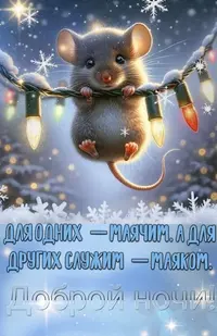 121_211541_271.webp