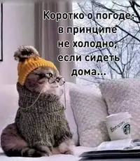 159292db151b93c986cdf60541ede88f.webp