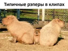 zizflrpg.webp