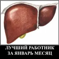 1769504310694.webp
