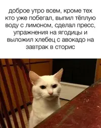 wv7-CfY2MwRLmIUuEufBIvdrXfXpLi014MYyD1EdnZt-AAa9Wc0xQvO9HVJ8_3J30pMnz3-Y1M67E1C1C75aRL5E.webp