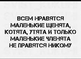 IMG_0726.webp