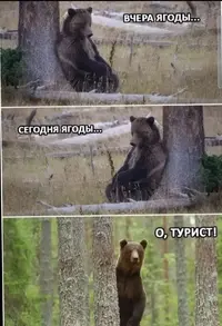 1769812253213.webp