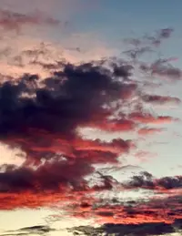 20260131-1736.webp