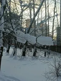20260203150709.webp