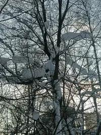 20260203150718.webp