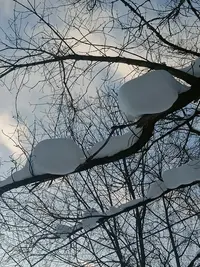 20260203150759.webp