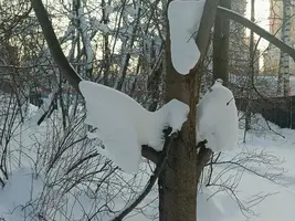 20260203150559.webp