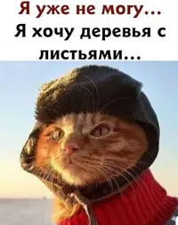 04_210243_355.webp