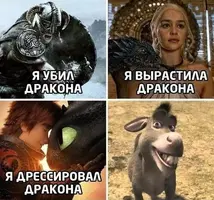 1000053465.webp