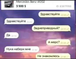 1000053246.webp