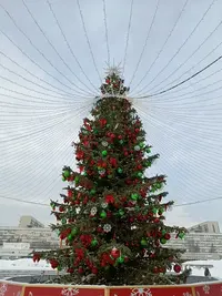 20260207143225.webp