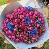 images-2.webp