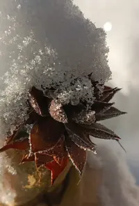 20260212-1015.webp