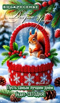 228_091136_862.webp
