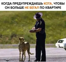 205_215623_148.webp
