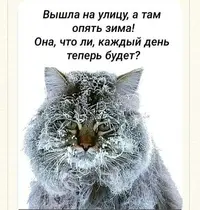 216_173319_531.webp