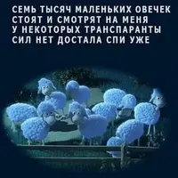 IMG_7155.webp