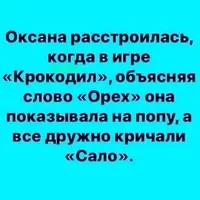 IMG_8018.webp