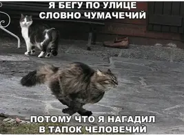 842.webp