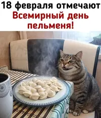 scale_1200.webp