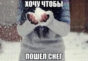 2290791263.webp