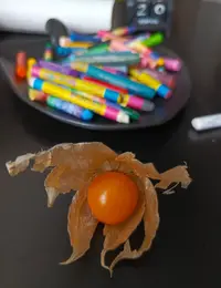 20260220-0941.webp