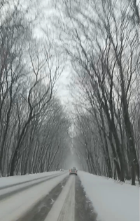 Screenshot_20260220-152638.webp