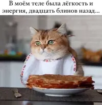 218_152649_807.webp