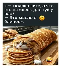 220_202154_994.webp