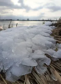 260221-14-1.webp
