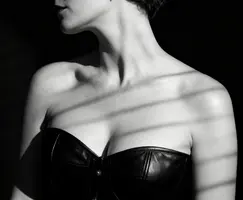 Gallery_1771248423459.webp