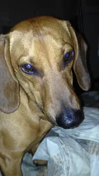 IMG-20191106-WA0002.webp