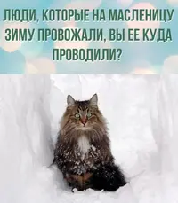 1711313393.webp