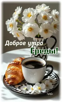 218_093139_486.webp
