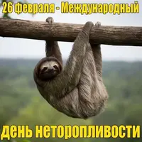 5b867195.webp