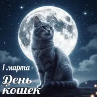 1fe8c114e9.webp